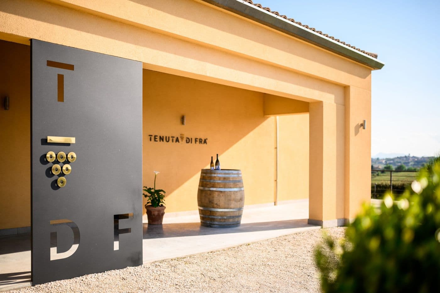 Wijngaard Tenuta Di Fra' — foto 5