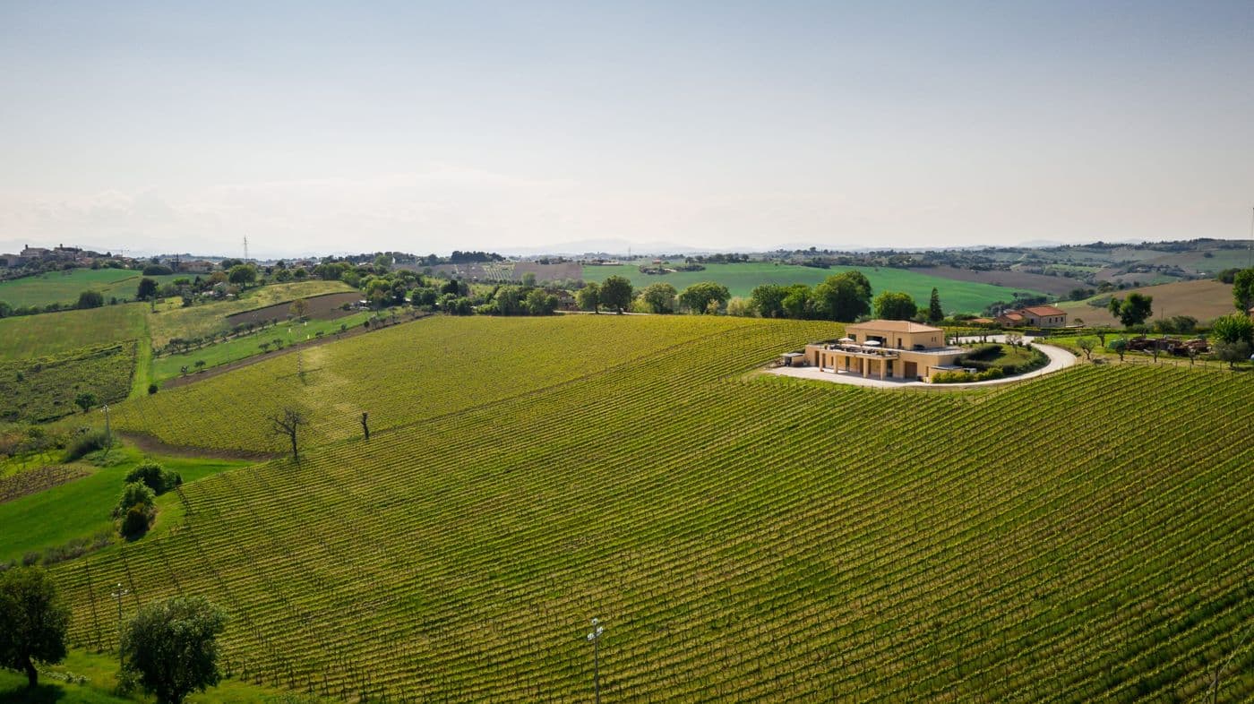 Wijngaard Tenuta Di Fra' — foto 13