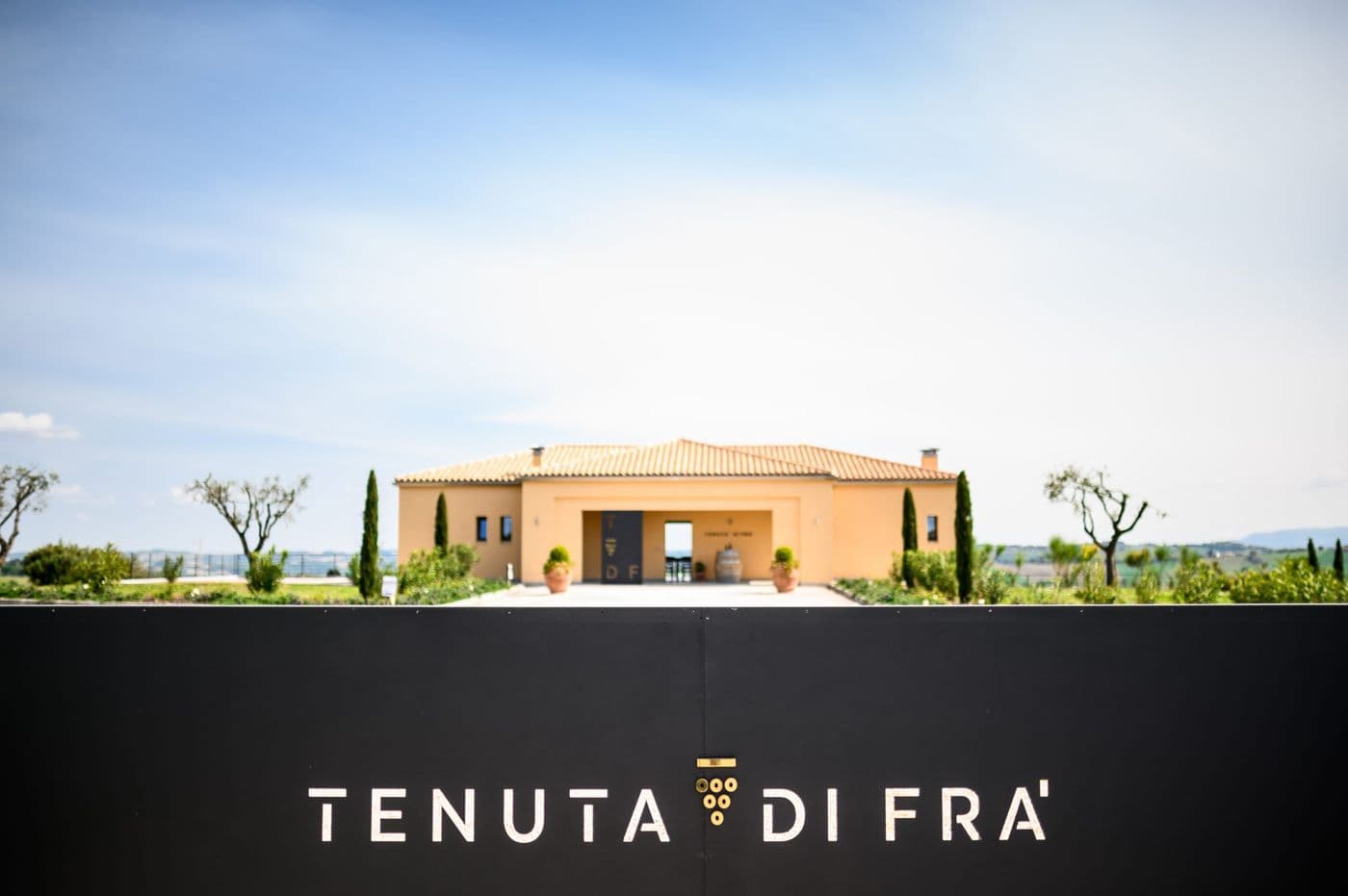 Wijngaard Tenuta Di Fra' — foto 16
